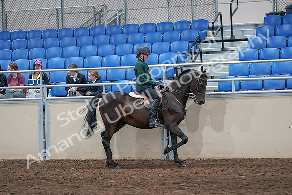 2020 - AB Morgan Horse - Sat, Sept 05 - 05163