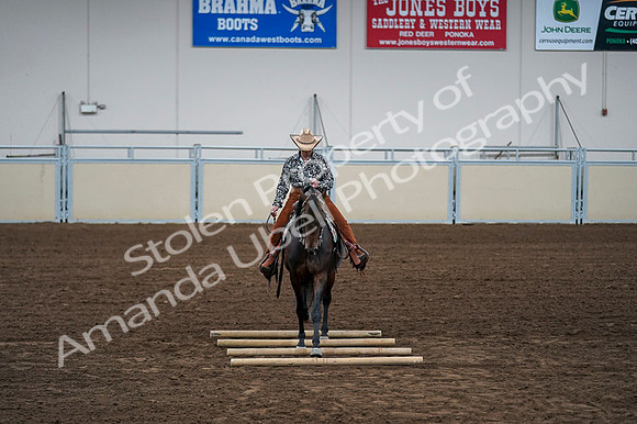 2020 - AB Morgan Horse - Fri, Sept 04 - 00435