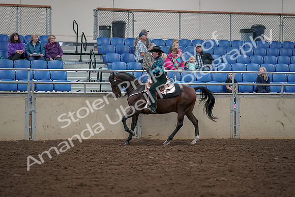 2019 Morgan Horse Show - Aug 30, 2019 - 26054