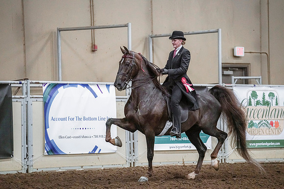 Spring Fling - Saturday - April 20, 2019  -  03665