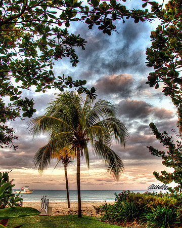 Jamaica - 022