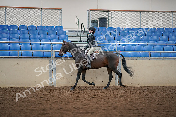 2019 Morgan Horse Show - Aug 30, 2019 - 23127
