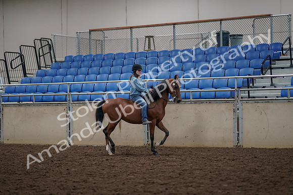 2019 Morgan Horse Show - Aug 30, 2019 - 31332