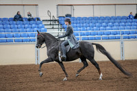 2020 - AB Morgan Horse - Fri, Sept 04 - 05340