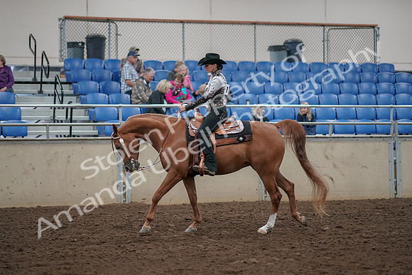 2019 Morgan Horse Show - Aug 30, 2019 - 26097
