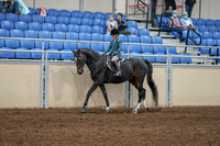 2020 - AB Morgan Horse - Fri, Sept 04 - 07732