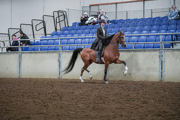 Spring Fling - Saturday - April 20, 2019  -  00752