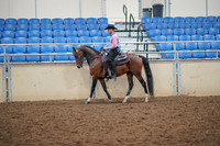 2019 Morgan Horse Show - Aug 30, 2019 - 22703