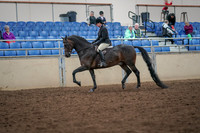 2019 Morgan Horse Show - Aug 30, 2019 - 19860
