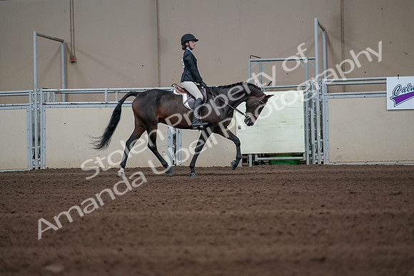 2019 Morgan Horse Show - Sept 01, 2019 - 03862