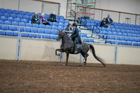 2020 - AB Morgan Horse - Sat, Sept 05 - 00828