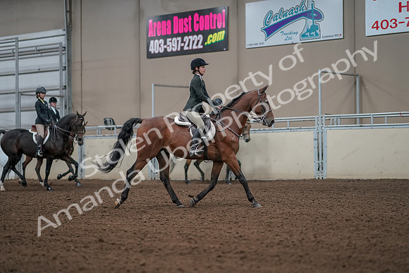 2019 Morgan Horse Show - Aug 31, 2019 - 05190