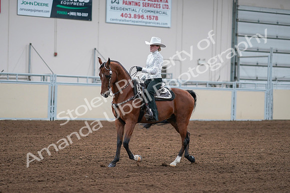 2020 - AB Morgan Horse - Fri, Sept 04 - 03584