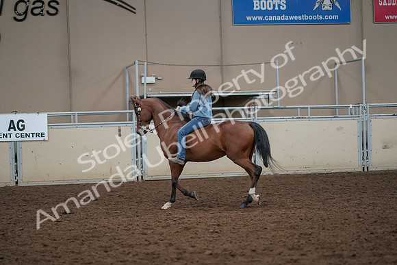 2019 Morgan Horse Show - Aug 30, 2019 - 31183