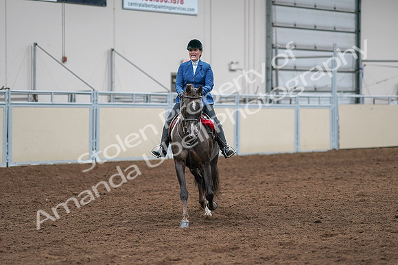 2020 - AB Morgan Horse - Sat, Sept 05 - 05247