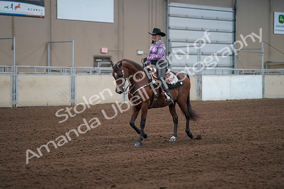 2019 Morgan Horse Show - Sept 01, 2019 - 07204