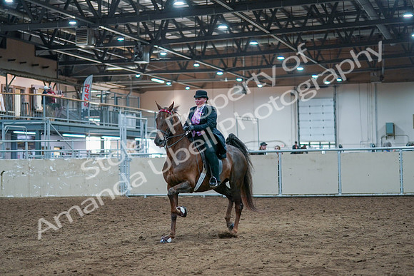 2021 - Alberta Charity Horse Show - Fri, July 09 - 14789