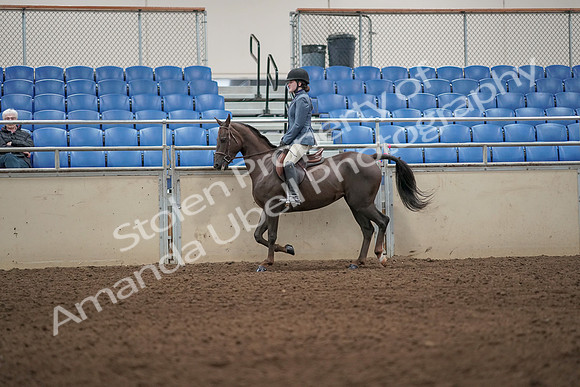 2019 Morgan Horse Show - Aug 31, 2019 - 04907