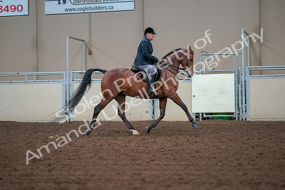 2019 Morgan Horse Show - Aug 30, 2019 - 20731