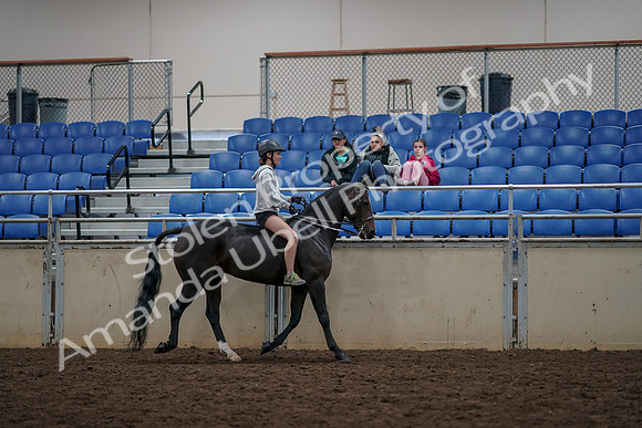 2019 Morgan Horse Show - Aug 30, 2019 - 31394