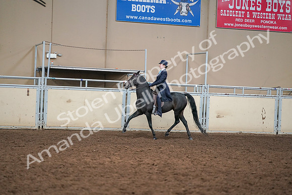 2019 Morgan Horse Show - Aug 30, 2019 - 12230