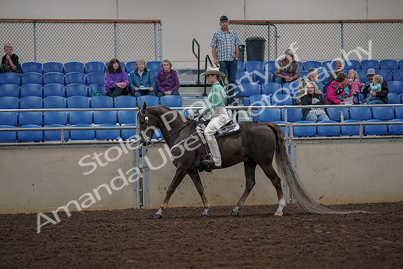 2019 Morgan Horse Show - Aug 30, 2019 - 25946