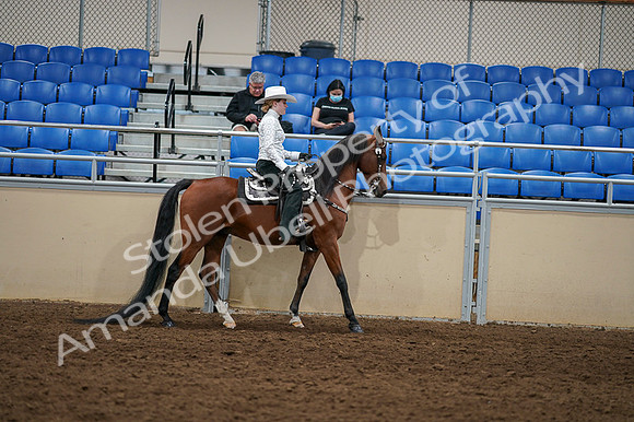 2020 - AB Morgan Horse - Fri, Sept 04 - 03526