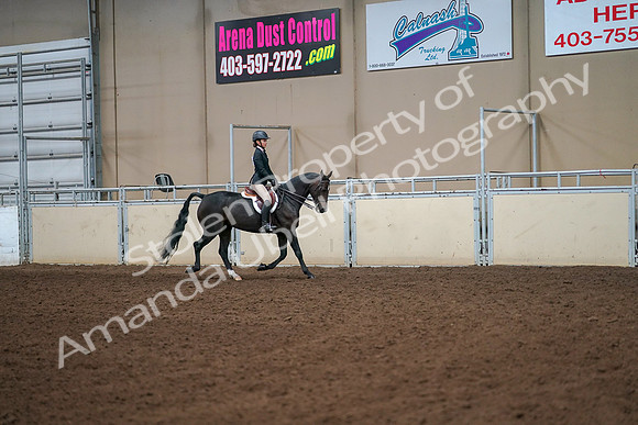 2019 Morgan Horse Show - Aug 30, 2019 - 12340