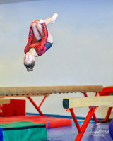 Fort Sask Gymnastics 2019 - Feb 17, 2019 - logo - 05568