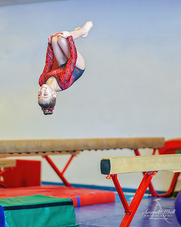 Fort Sask Gymnastics 2019 - Feb 17, 2019 - logo - 05568