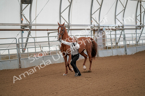 July 19, 2019 - 64