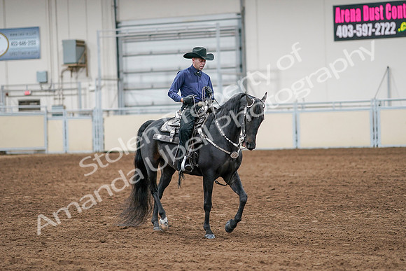 2020 - AB Morgan Horse - Sun, Sept 06 - 07622