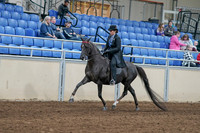2020 - AB Morgan Horse - Sat, Sept 05 - 00816