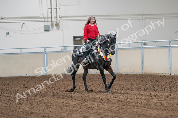 2020 - AB Morgan Horse - Sat, Sept 05 - 10490