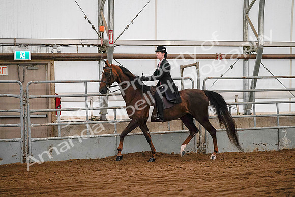July 19, 2019 - 8785