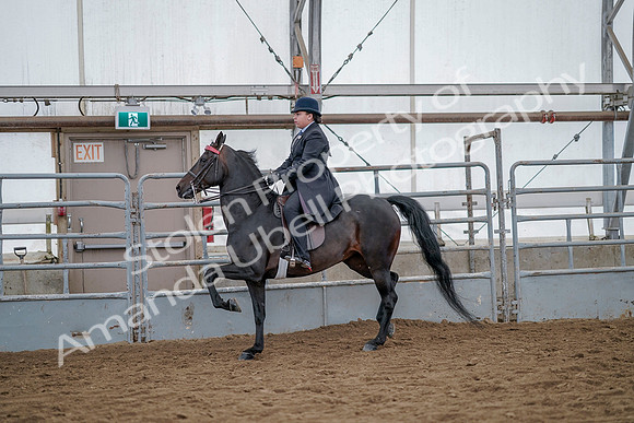 July 20, 2019 - 14475