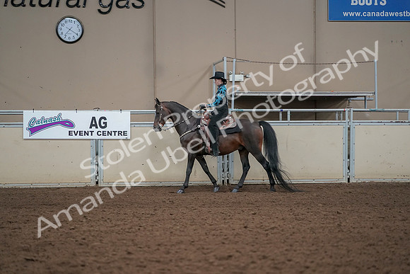 2019 Morgan Horse Show - Aug 30, 2019 - 25972