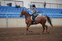 2019 Morgan Horse Show - Sept 01, 2019 - 12156