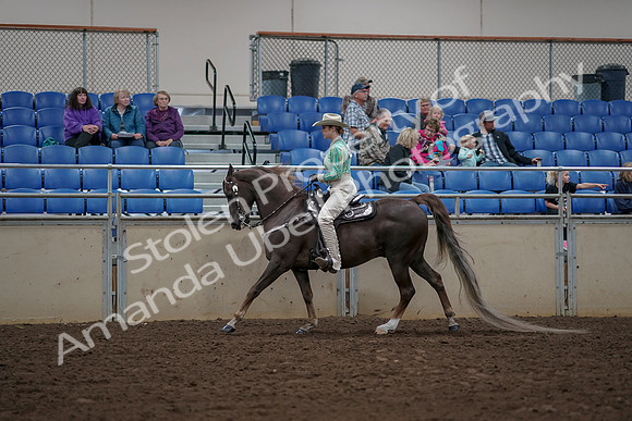 2019 Morgan Horse Show - Aug 30, 2019 - 26072