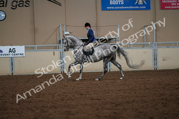 2019 Morgan Horse Show - Aug 30, 2019 - 22427