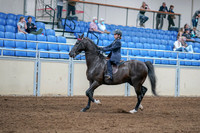 2020 - AB Morgan Horse - Fri, Sept 04 - 06988