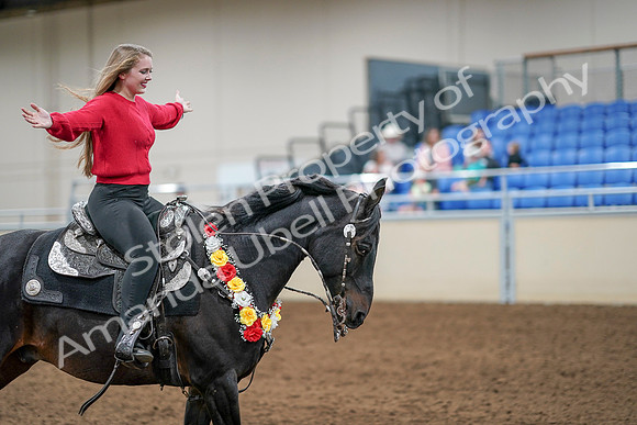2020 - AB Morgan Horse - Sat, Sept 05 - 10556