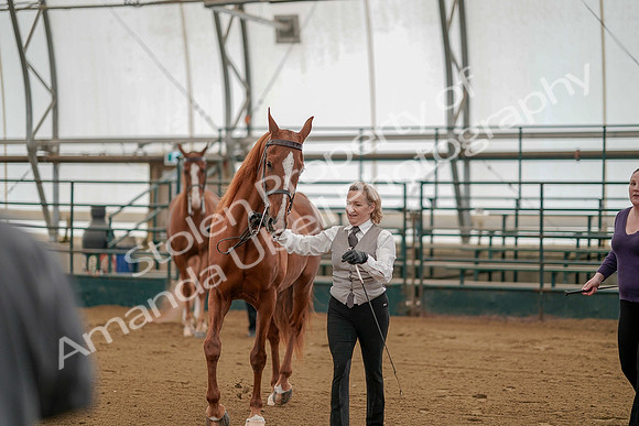 July 19, 2019 - 280