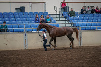 2019 Morgan Horse Show - Aug 31, 2019 - 02588