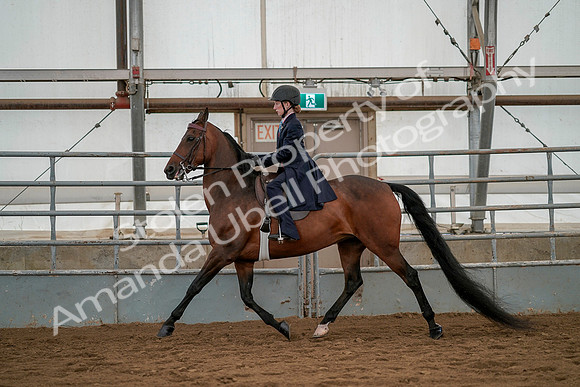 July 19, 2019 - 3896