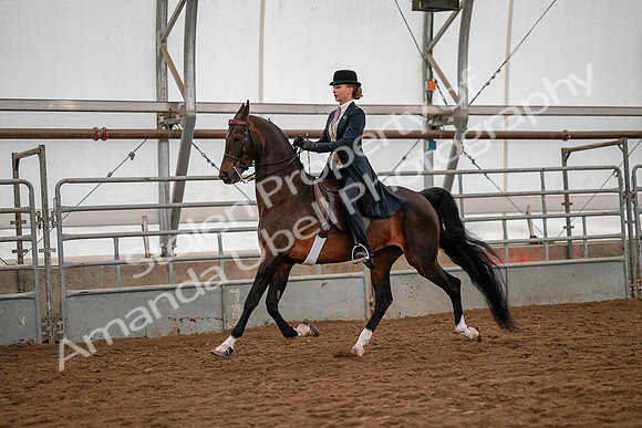 July 19, 2019 - 10532