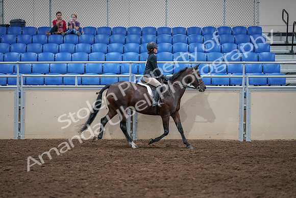 2020 - AB Morgan Horse - Sat, Sept 05 - 05133