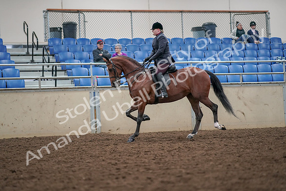 2019 Morgan Horse Show - Aug 30, 2019 - 20438