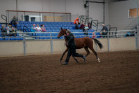 2019 Morgan Horse Show - Aug 30, 2019 - 25539