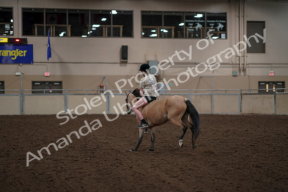 2019 Morgan Horse Show - Aug 30, 2019 - 31263
